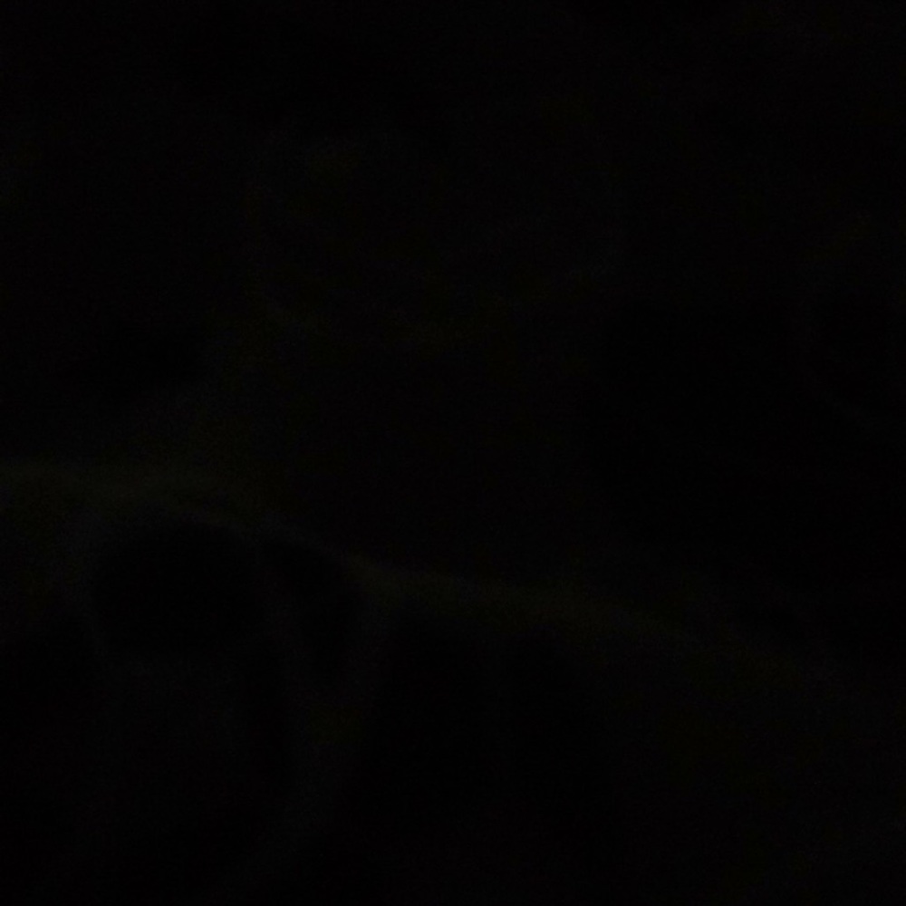 Meet your Posher, Alesha